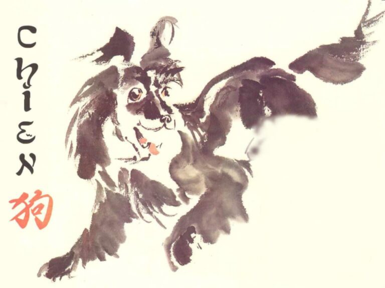 Le chien Signe astrologique chinois