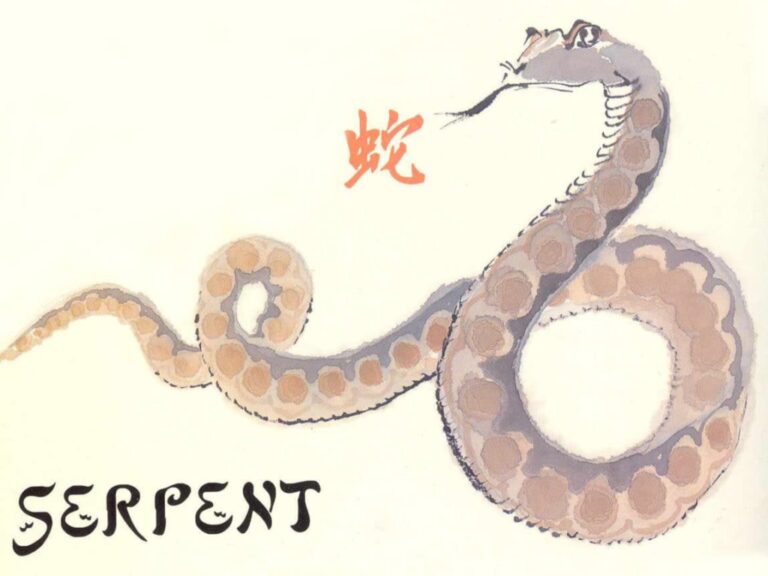 Le serpent Signe astrologique chinois