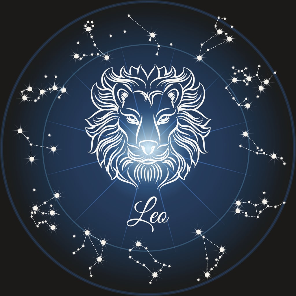 🔮 Signe astrologique Les compatibilités du Lion existantes