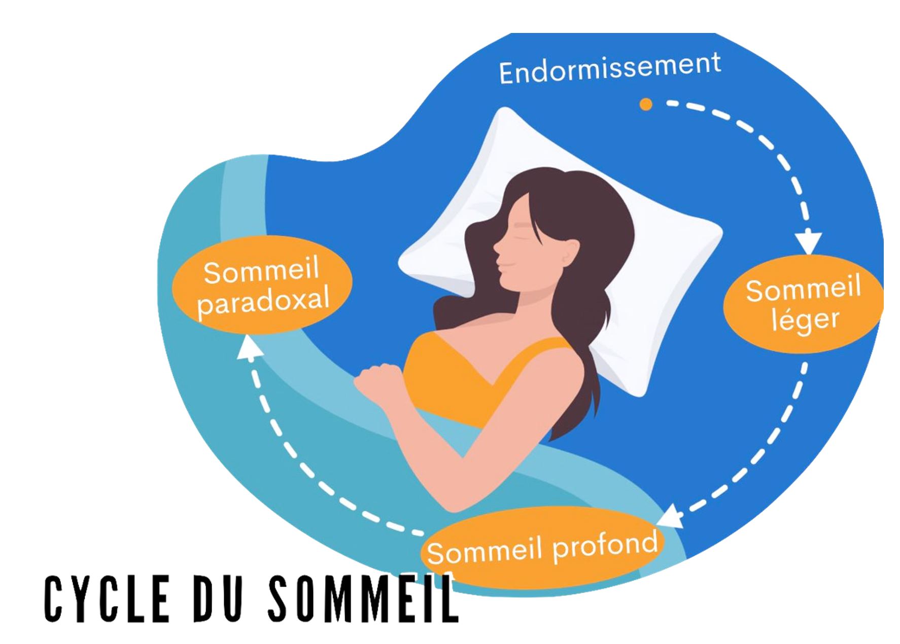 🔮 Qu'estce que la phase REM ? Détails des rêves oniriques